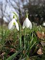 2010-03-22, Frühling (1)